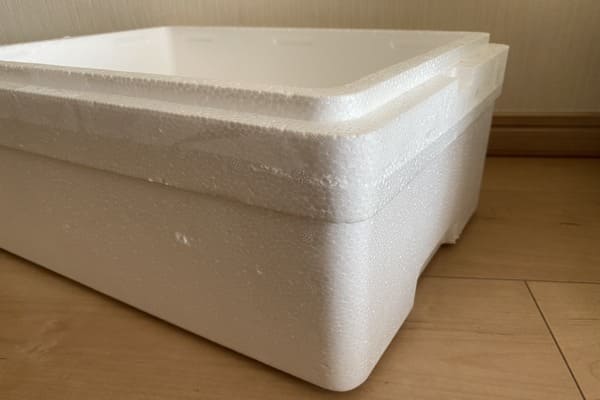 メダカをボックスで飼おう 屋外飼育におススメなのはコレ