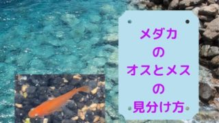 medakaosumesumiwakekata