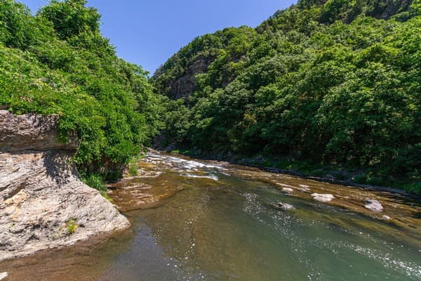 kawa