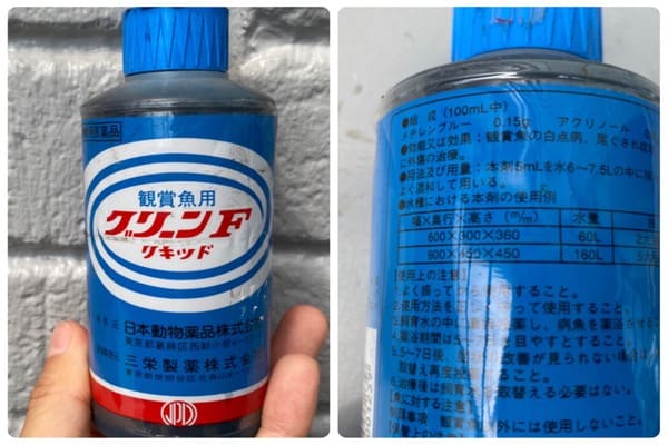 mechirenblue