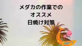 medakahiyaketasaku