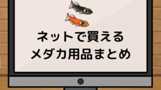 netkounyuu