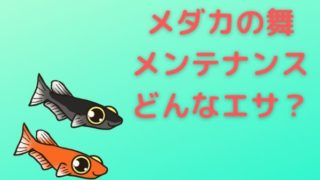 medakanomaimentenansu