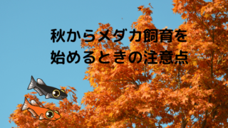 akikarasiiku