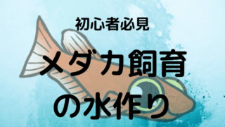medakanomizutukuri